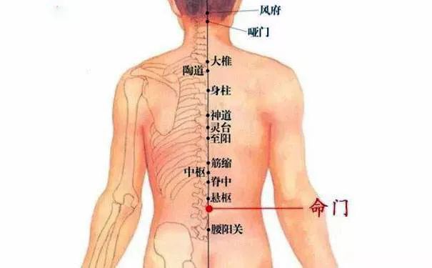 命門火衰影響人體生老病衰？命門穴有何神奇，竟決定生命的元陽盛衰？